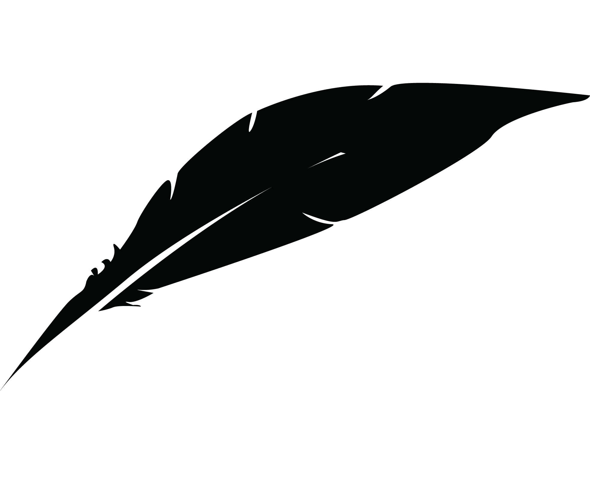 Feather 1 Asset