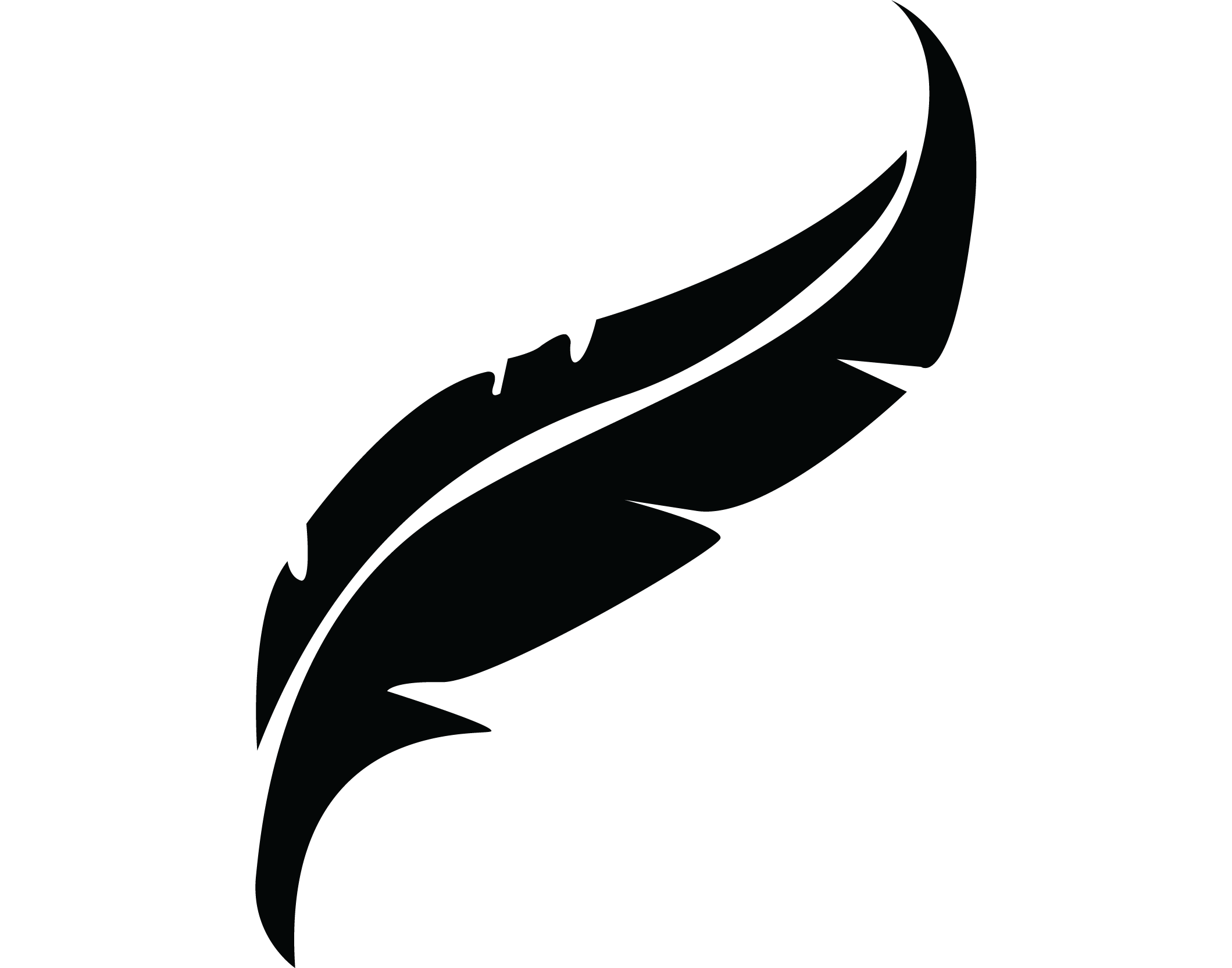 Feather 3 Asset